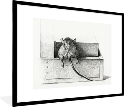 Fotolijst incl. Poster - Muis - schilderij van Jean Bernard - 80x60 cm - Posterlijst