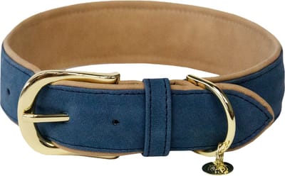 Kentucky Dogwear - Hondenhalsband - Gevlochten Nylon Hondenriem - Oranje - Maat XS (37cm)