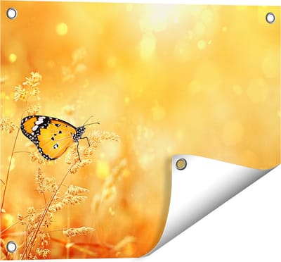 Gards Tuinposter Oranje Vlinder in het Oranje Veld - 50x40 cm - Tuindoek - Tuindecoratie - Wanddecoratie buiten - Tuinschilderij