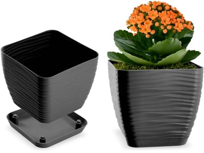 Lichte Vierkante Bloempot met Onderschotel - Plantenpot voor Binnen in Antraciet (15 cm)