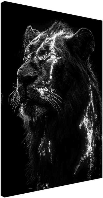 Canvas Schilderij - Lion portrait 50x70 cm - Dieren Wanddecoratie Woonkamer & Slaapkamer