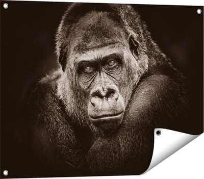 Gards Tuinposter Gorilla - Zwart Wit - 80x60 cm - Tuindoek - Tuindecoratie - Wanddecoratie buiten - Tuinschilderij