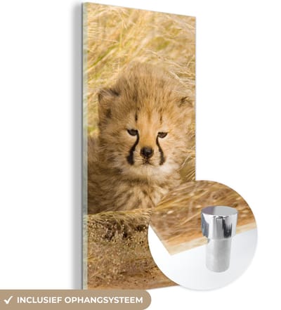 MuchoWow® Glasschilderij 20x40 cm - Schilderij acrylglas - Cheeta - Jong - Gras - Foto op glas - Schilderijen