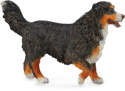 COLLECTA Figurine - Berner Sennenhond - (L) - Honden - Handgeschilderd - Miniatuur