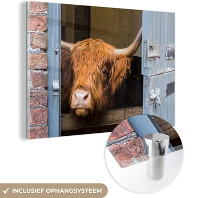 MuchoWow® Glasschilderij 120x80 cm - Schilderij acrylglas - Schotse Hooglander - Boerderij - Schuur - Foto op glas - Schilderijen