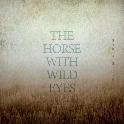 Horse With Wild Eyes - Bow & Arrows (CD)