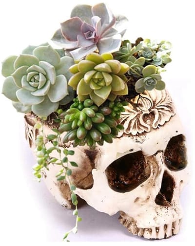 Dailygoods- Plantenbak Hars - Doodshoofd Plantenbak - Halloween Decoratie - Opbergpot - 15x22cm - Perfect voor Bloemen en Vetplanten - Bloempot