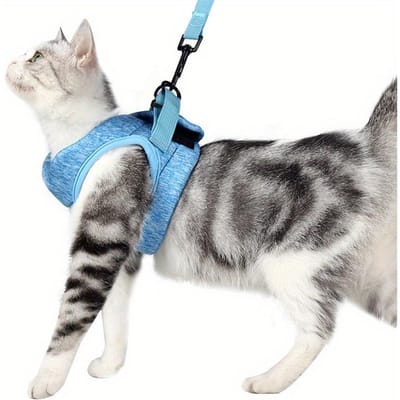 Harnais réglable anti-fuite pour petit chat, gilet léger et respirant pour animal de compagnie, harnais de câblage, ceinture de traction pour chaton S bleu