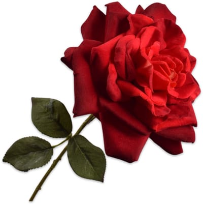 Silk-ka Roos tak rood 65 cm