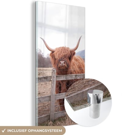 MuchoWow® Glasschilderij 20x40 cm - Schilderij acrylglas - Schotse Hooglander - Gras - Hek - Foto op glas - Schilderijen