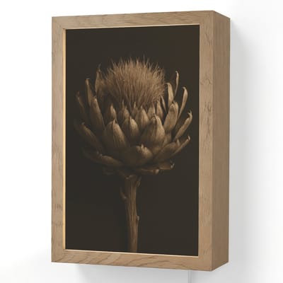 Wandlamp 20x30 cm - Oplaadbaar - Donkerbruin - Bloem - Textuur - Artisjok - Wandlampen binnen woonkamer - Slaapkamer lamp met kabel - Decoratieve nachtlamp - Vloerlamp snoer