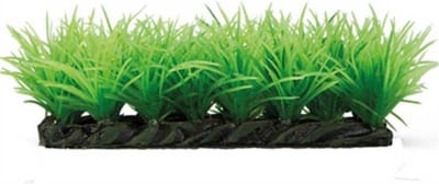 Hobby Plant Grassy Stone