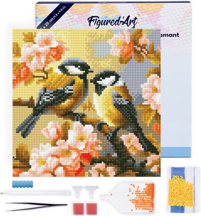 Figured'Art Mini Diamond Painting set Volwassenen 25x25 cm met lijst Paar Vogels tussen Bloesems - 5D DIY Art full drill ronde diamant - Canvas al ingelijst