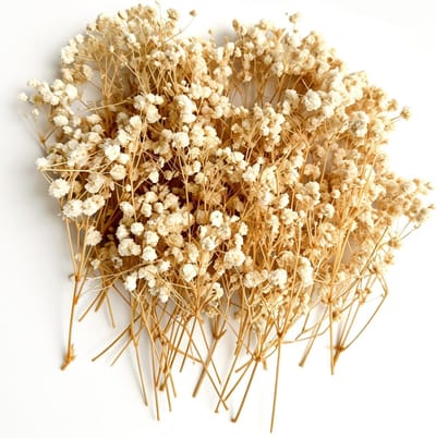 100 Stuks Kunstmatige Gedroogde Bloemen voor Creatieve Projecten - Mini Dried Flowers Decoratie voor DIY Fotolijsten en Ambachten (Wit)