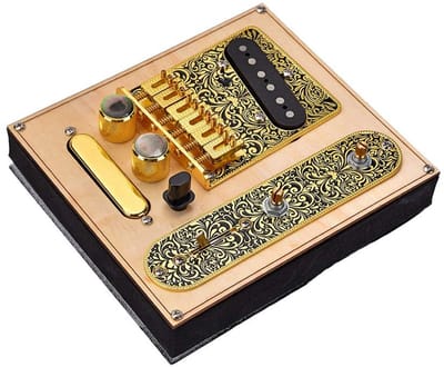 Dailygoody - Controleplaat Brug voor Telecaster - Voorbedraad - Duurzaam en gebruiksvriendelijk - Set met pickups - Ideaal voor gitaristen - Muziekins.