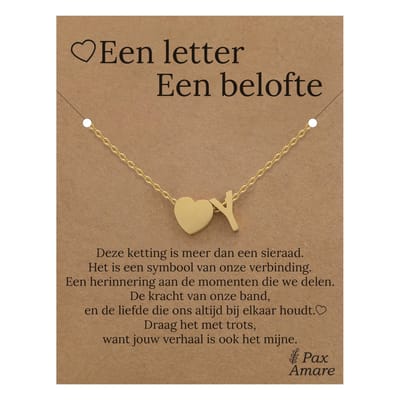 Letter Y ketting op Cadeau Kaartje - Een letter, een belofte - 45cm Goudkleurig Stainless Steel - Initiaal & Hartje Hanger - Pax Amare