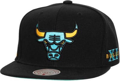 NBA Core XI Chicago Bulls Trucker Cap Zwart Snapback