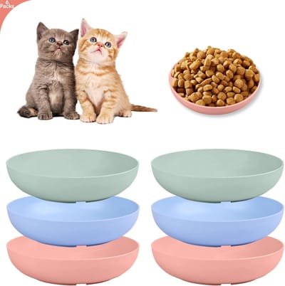 Daity 6-delige kattenbak met snorhaarvermoeidheid - 5 -5 inch ondiepe kattenvoerbak - brede kattenbakken voor nat voer - PET-bord voor kittens en kortbenige katten - tarwestro