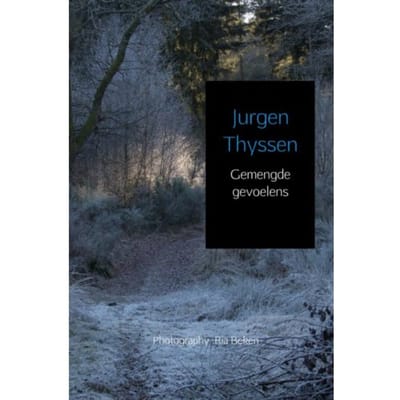 Gemengde Gevoelens - Jurgen Thyssen