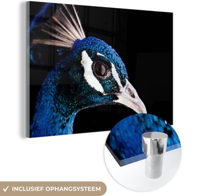 MuchoWow® Glasschilderij 60x40 cm - Schilderij acrylglas - Pauw - Dier - Blauw - Foto op glas - Schilderijen