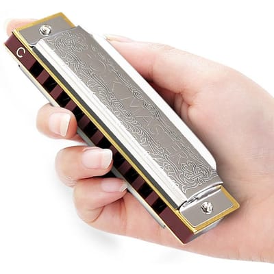 10 Gat Blues Harmonica Toets C A F D G B E Mondharmonica Fosfor Brons Behuizing Harmonica Diatonische Blues Harp Beginner Voor Kinderen gray