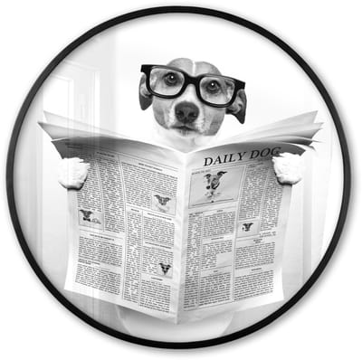 Poster in lijst Rond - Fotolijst 60x60 cm - Posters - Hond - Krant - Toilet - Zwart wit - Dieren - Ronde posterlijst zwart - Decoratie - Wanddecoratie woonkamer - Muurdecoratie slaapkamer