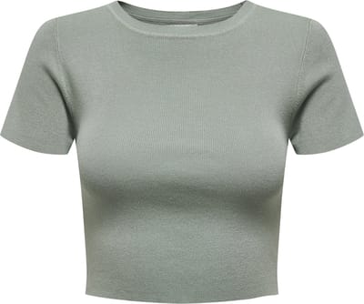 JDY - JDYCIRKELINE S/S CROP TOP KNT NOOS - Dames - Gebreide truien