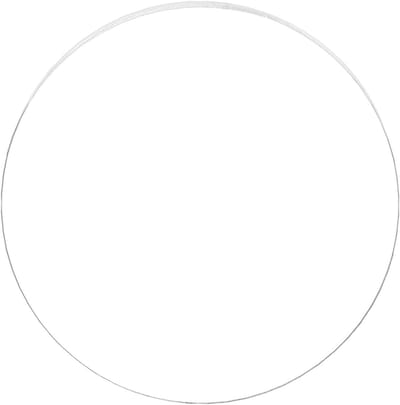 Ronde Acrylplaat - Transparant Blad - Kalligrafie Schilderen - 3 mm Dik - 300 mm Diameter - Helder