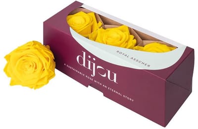 3x Dc pres.rozen sunny yellow 0012c