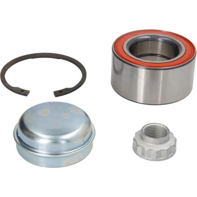 Schaeffler Fag Wiellagerset FAG 713 6673 10