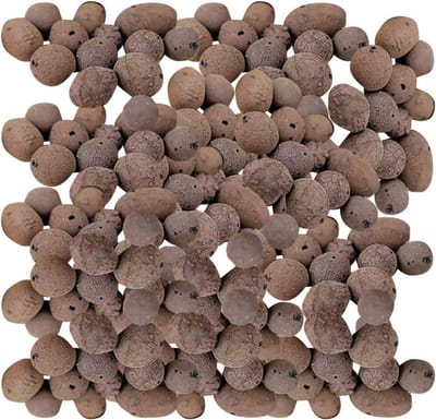 Plantenkleisteen - Hydrocultuur stenen - Plantenverzorging - Verbeterde groeiomgeving - 2 kg - Bruin