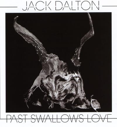 Past Swallows Love