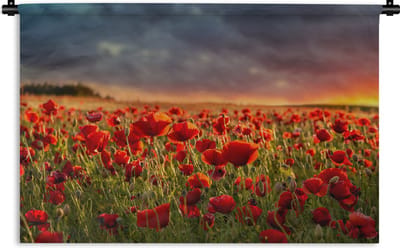 Wandkleed Bloemenvelden - Klaprozen veld bij zonsondergang Wandkleed katoen 150x100 cm - Wandtapijt met foto