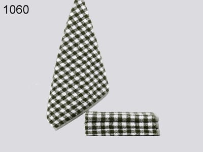 LASA Keukenhanddoek Groen Geblokt – 50 x 50 cm – 100% Katoen – Absorberend – Keukendoek