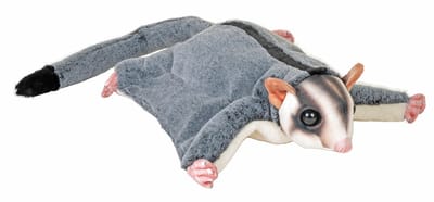 Wild Republic suikereekhoorn knuffel - pluche - 30 cm - nachtdieren - buideleekhoorn - eekhoorn