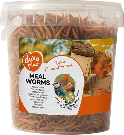 Meelwormen