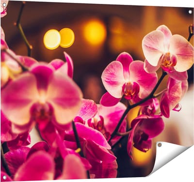 Gards Tuinposter Roze Orchidee Bloemen - 100x80 cm - Tuindoek - Tuindecoratie - Wanddecoratie buiten - Tuinschilderij