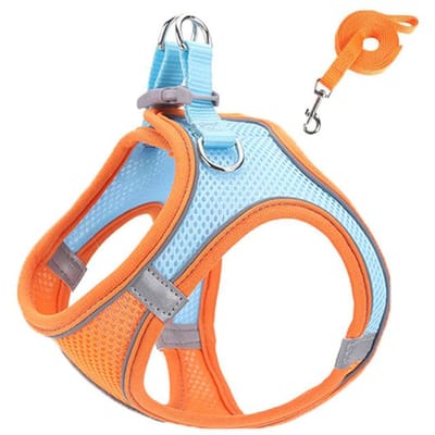 Harnais pour chat Harnais et laisses réfléchissants pour animaux de compagnie Ensemble Harnais réglable pour animaux de compagnie Pour chats Petits chiens Carlin Chihuahua Accessoires pour chat (as the picture,L)