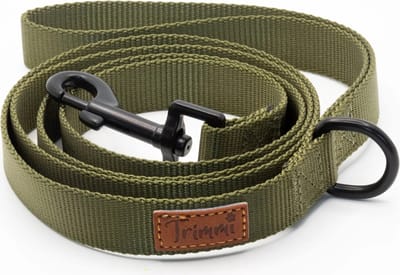 Nylon riem groen - 152 cm x 2,5 cm - honden riem - gepersonaliseerd - hondenriemen - halsband - hond - hondenhalsband met naam - halsbanden, riemen & tuigen - Trimmi