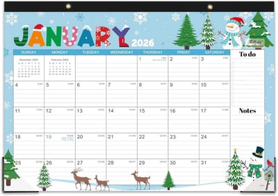 Bureaukalender 2025 - Grote Maandkalender 17"x12" met 12 Themadesigns
