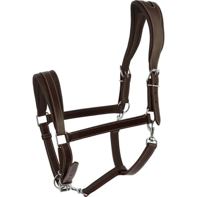 Halster voor paarden Norton Ardennais