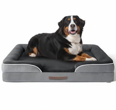 Jake and Jacky Hondenmand - Orthopedisch Hondenkussen - Hondenbed - Tweezijdig Matras - Met Traagschuim - Wasbare Hoes - Maat XL - 112x81x17cm