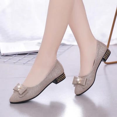 Lente en Zomer Pumps Dames Schoenen met Puntneus Lage Hak Koreaanse Stijl Dikke Hak Werkschoenen 35 beige