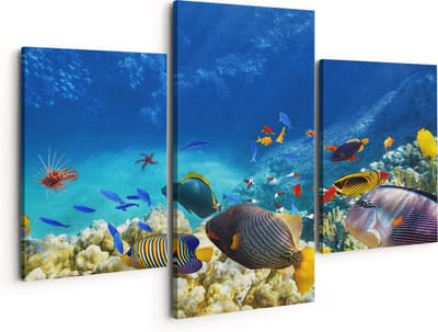 Artaza Canvas Schilderij Drieluik Vissen in de Oceaan met Koralen - 150x120 - Groot - Foto Op Canvas - Canvas Print