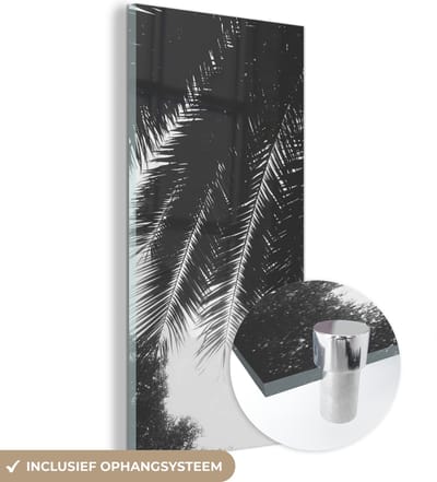 MuchoWow® Glasschilderij 20x40 cm - Schilderij acrylglas - Palmbladeren - Tropisch - Zon - Palmboom - Foto op glas - Schilderijen