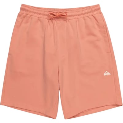 Korte Quiksilver Basic
