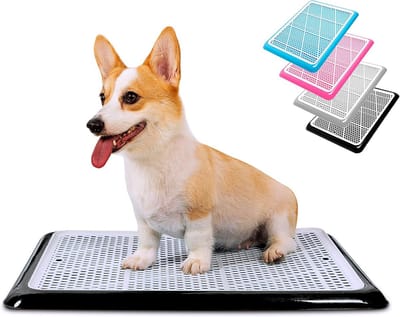 Hond Potty Tray Puppy Plas Pad Houder 25x20 Inch Wee Training voor Kleine en Middelgrote Honden