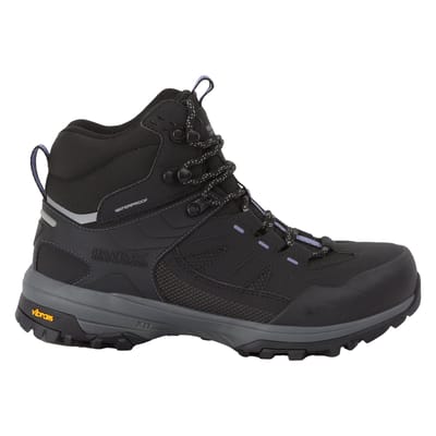 Regatta Dames/Dames Regen Wandelschoenen (Zwart/Lila Bloei)