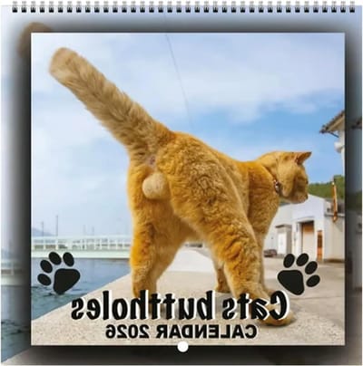 Kalender met Katten - Maandplanner Wandplanner - Gezinsplanning - Gedetailleerde Kattendesigns - 29 x 23 cm - Meerdere Kleuren