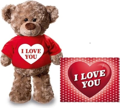 Knuffel teddybeer - met kaart A5 - i love you - 24 cm - pluche - met shirt